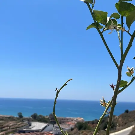 Rincon Idilia * リンコン・デ・ラ・ビクトリア